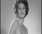 Shameless Shorts 3 (1960s) from 1960s nudehd