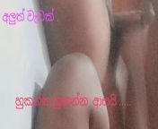 Sri Sri lankan shetyyy black chubby pussy new video from sri lankan mms sex