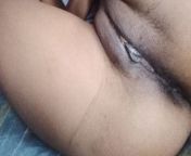 Indian Tamil aunty Dammi sex video from tamil aunty 2010 sex video free