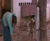 Mallu wayanad from kerala wayanad adivasi sex video mp3