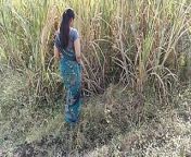 Komal was weeping in the field of people without recognition, then brought it to the house and fucked from desi village paddy field sana bro male xxx girl rape 3gp videoindian village women pissing outside odia sex comdesi odisha village college girl sex scandalstar jalsa actress pakhi xxx