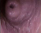 see ur cum inside the vagina from 德国股票粉购买联系飞机电报：ppy883 ure