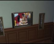 Mod for porn channels on TV in the sims 4 game | video game sex from zee anmol tv channel tv serial actress nangi fake fucking p